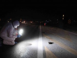 Otomobilin Çarptığı 3 Çocuk Annesi Öldü