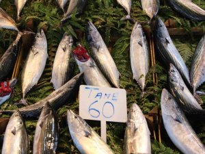 Bandırma’da Olumsuz Hava Şartları Balık Fiyatlarını Etkiledi