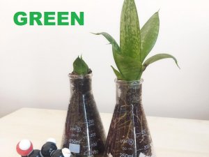 Çevre Sorunlarına Çözüm Üretecek Proje Hibe Desteği Almaya Hak Kazandı