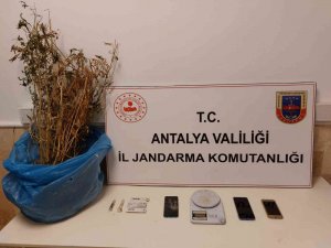 Kaş’ta 350 Gram Kubar Esrar Ele Geçirildi