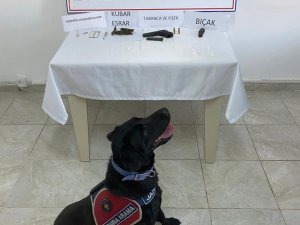 Jandarmanın Durdurduğu Araçtan, Tabanca, Bıçak Ve Uyuşturucu Çıktı.