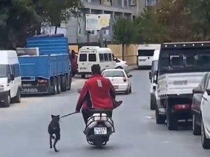 Köpeği Motosikletle Dakikalarca Koşturdu