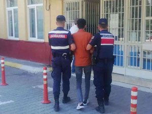 Aydın’da Aranan 3 Şahıs Jandarmaya Takıldı