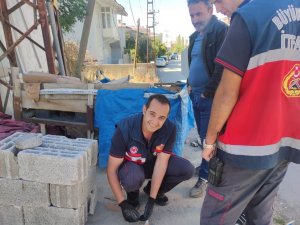 Mazgala Düşen Yavru Kedi Kurtarıldı