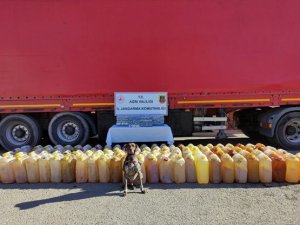 Ağrı’da Kaçak Sigara Ve Benzin Ele Geçirildi
