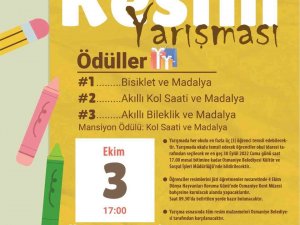 Osmaniye’de "Hayvan Sevgisi" Temalı Resim Yarışması