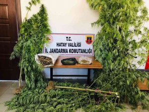 Hatay’da Uyuşturucu Operasyonu