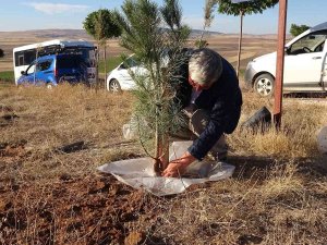 Bulduğu Yöntemle Bozkırda Diktiği Tüm Fidanların Tutunmasını Sağladı