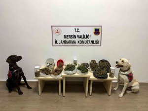Mersin’de Uyuşturucu Operasyonu