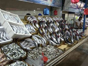 Vatandaşlar Bu Sezon Palamuta Doydu