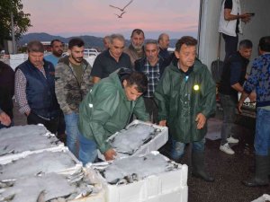 Balıkçıların Gün Doğmadan Başlayan ’Hal’ Mesaisi