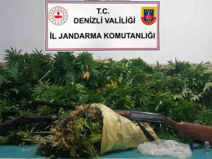 Jandarmanın Operasyon Düzenlediği Evden 2,6 Kilo Esrar Çıktı