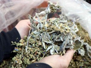 Kekik Ve Adaçayından Kolonya Yapıldı