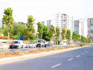 Diyarbakır’da 349 Ağaç Toprakla Buluşturuldu