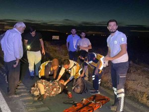 Otomobil Traktöre Arkadan Çarptı: 2’si Ağır 3 Yaralı