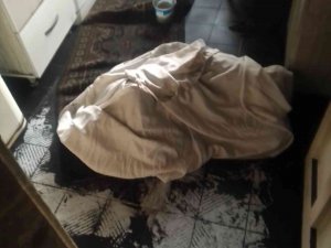 3 Katlı Binada Yangın Çıktı, Yaşlı Kadın Dumandan Zehirlenerek Hayatını Kaybetti