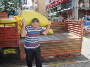 Serbest Piyasada Fındık Fiyatı Düşüşe Başladı