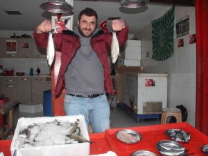 Batı Karadeniz’de Palamut Bolluğu Yaşanırken, Doğu Karadenizli Balıkçılar İse Beklemede