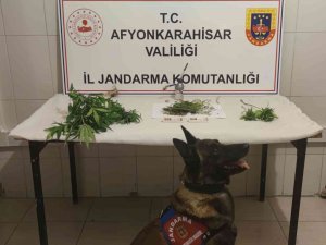 Hasadını Yaptıkları Esrarın Tamamını Satamadan Yakalandılar