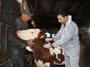 Besicilere 90 Bin Tl’lik Destek