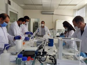 Türkiye’de Bir İlk: Hastalıklara Dayanıklı Milli Ve Yerli Şeker Pancarı Geliştirildi