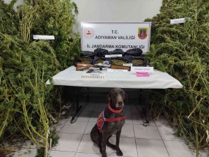 Jandarma Gerger İlçesinde Uyuşturucu Ele Geçirdi