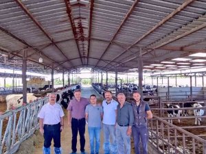 Denizli’de Hastalıktan Ari İşletmeler Denetleniyor