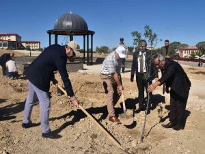 Kmü’de Bin 500 Fidan Toprakla Buluştu