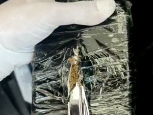 Şüphe Üzerine Durdurulan Minibüste 12 Kilo Esrar Ele Geçirildi