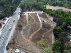 Tıbbi Bitkiler Koleksiyon Bahçesi Açıldı