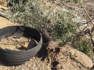 Elazığ’da Pikap Şarampole Yuvarlandı: 5 Yaralı