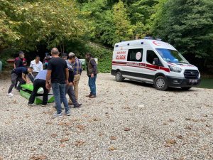 Sinop Erfelek Şelaleleri’nde Ağaç Devrildi: 2 Ölü, 1 Yaralı