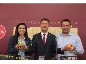 Meclis’te Şeftali Ve Armutlu Termik Santral Açıklaması