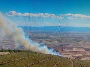 Biga’da Orman Yangını Kontrol Altına Alındı