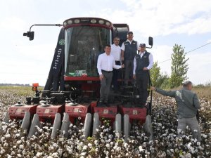 Antalya’da İlk Pamuk Hasatı