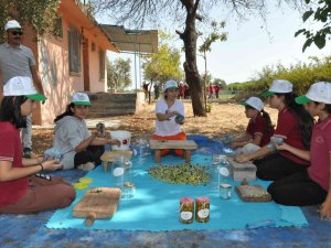 Topladıkları Zeytinleri Salamura Yapan Öğrenciler Satıp Okullarına Katkı Sunacak