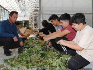 Genç Mühendis Adayları Sahaya İndi