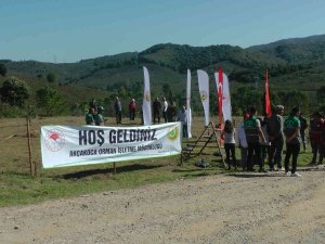 Huzurevinin Çınarları, Fidanları Toprakla Buluşturdu