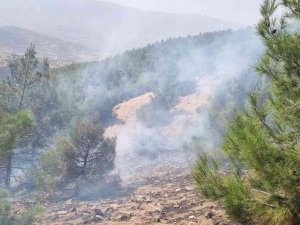 Nazilli’deki Orman Yangını Büyümeden Söndürüldü