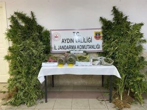 İ̇sabeyli’de, 2 Bin 520 Gram Uyuşturucu Ve 51 Kök Hint Keneviri Ele Geçirildi