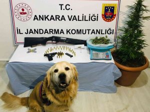 Başkentteki Uyuşturucu Operasyonlarında 3 Kişi Gözaltına Alındı