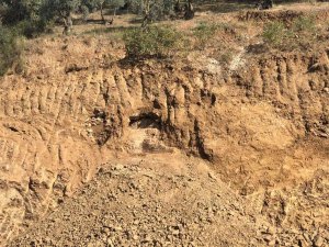 Gemlik’te Yol Çalışmasında Tarihi Kalıntılar Bulundu