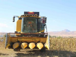 Erzurum’da Hasat Festivali