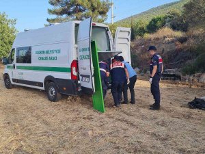 Anayoldan Çıkan Otomobil, Tarlaya Uçtu