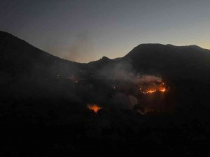 Adıyaman’daki Orman Yangınına Havadan Ve Karadan Müdahale Ediliyor