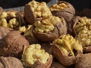 Adilcevaz 25. Ceviz Festivali Ve Kültür Etkinlikleri Düzenlenecek