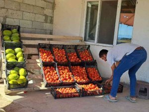 Topraktan Gelen Bereket