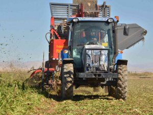 Şeker Pancarının Tarladan Sofraya Yolculuğu Başladı