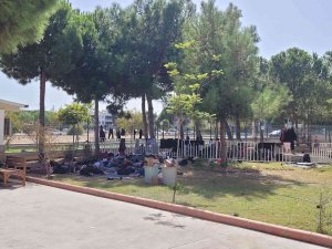 Didim’de 50 Düzensiz Göçmen Yakalandı
