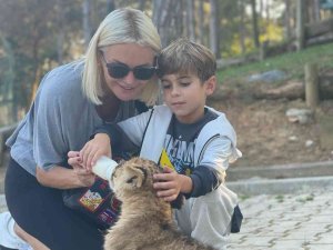 Ünlü Oyuncu Ece Erken 3 Aylık Yavru Aslanı Elleriyle Besledi